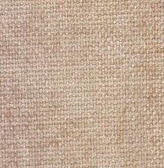 3826- Rose Enya Plain